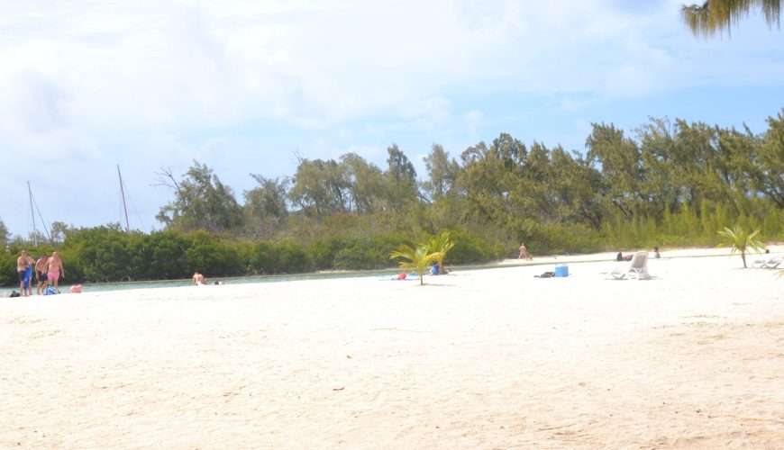 You favorite tour operator in Mauritius