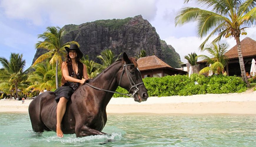 You favorite tour operator in Mauritius