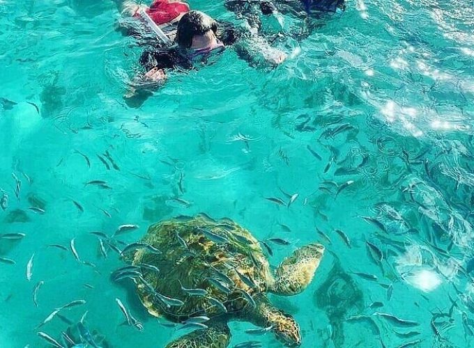 You favorite tour operator in Mauritius
