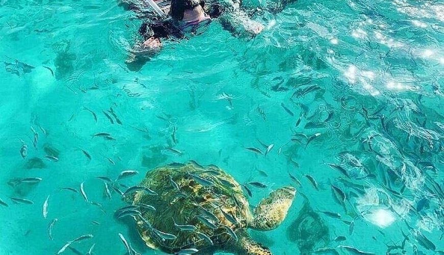 You favorite tour operator in Mauritius