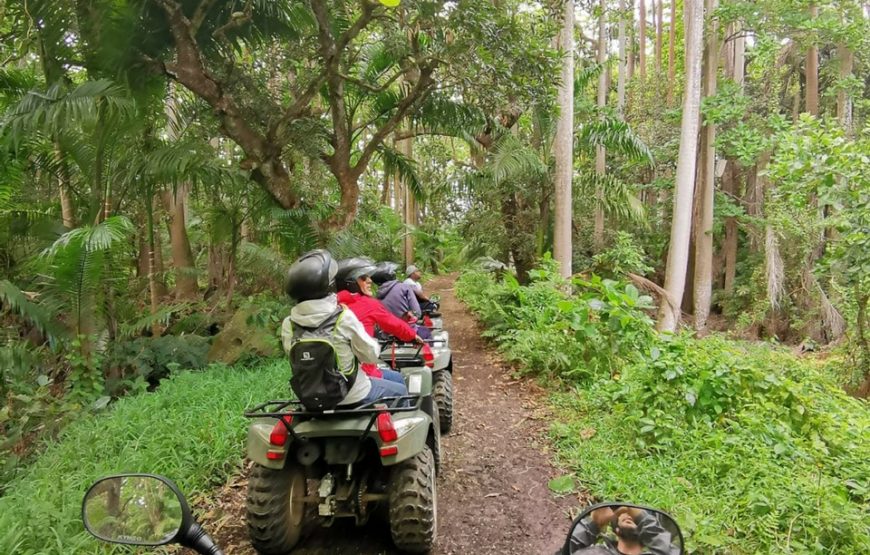 Quad dans la nature