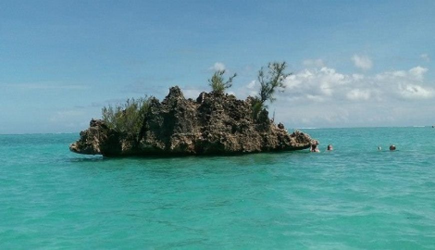 You favorite tour operator in Mauritius